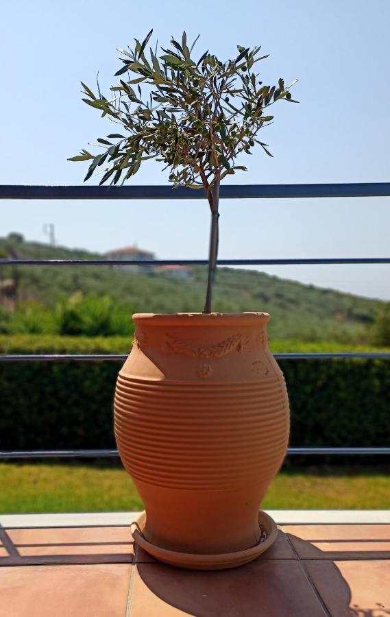 Cozy Small Smart Villa With Private Pool Mikri Mantineia Calamata Exterior foto